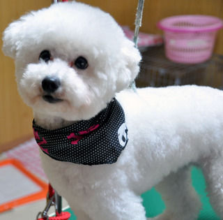 20110609_sora.jpg