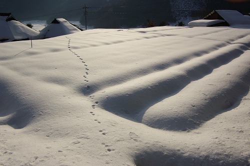 深雪のふるさと.JPG