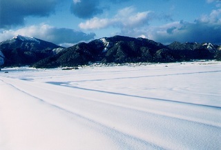 米どころ雪景.jpg