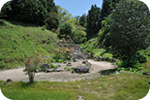 名勝 常徳寺 庭園 