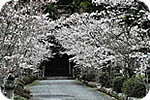 生雲八幡宮