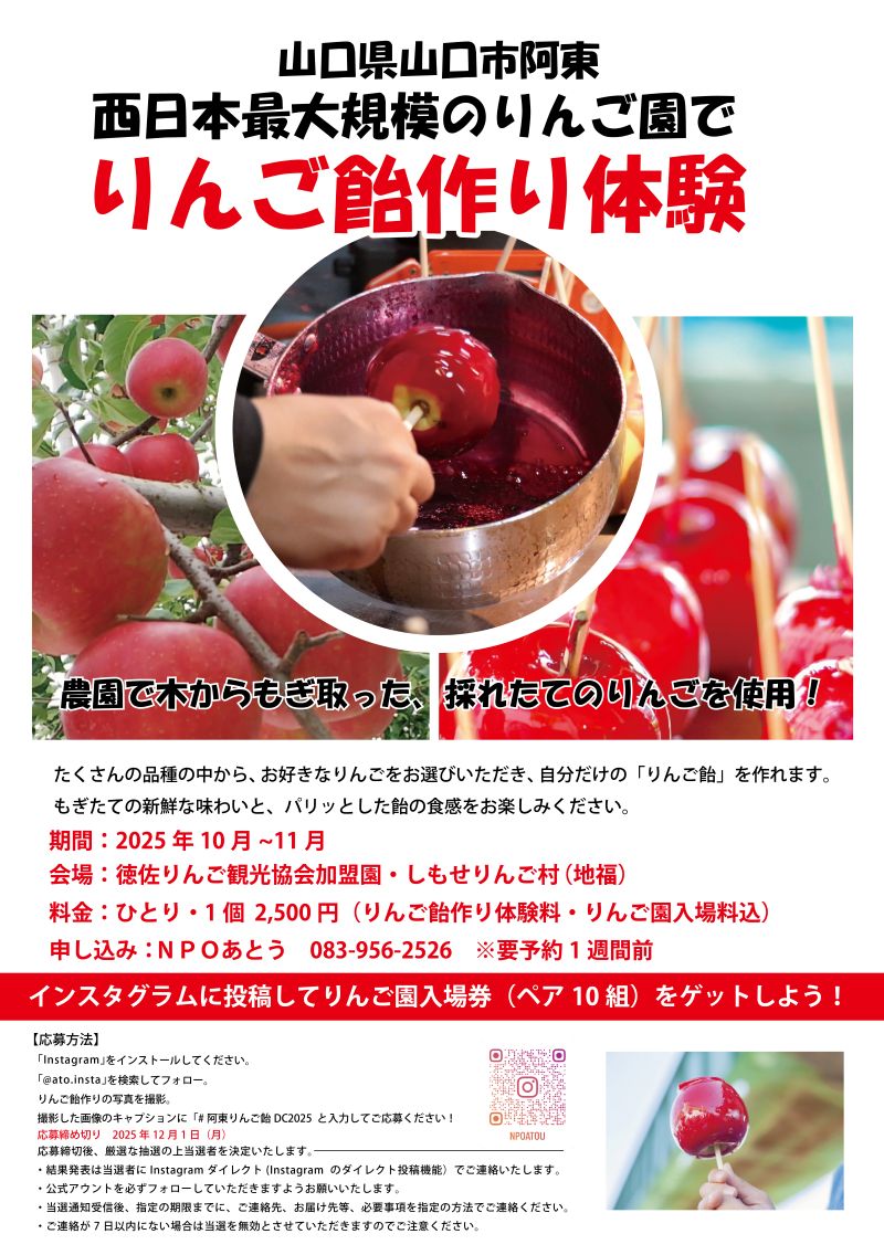りんご園でりんご飴作り体験 - あとう観光情報